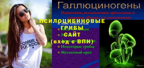 дурь Рославль
